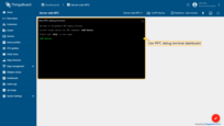 Use RPC debug terminal widget in your IoT Hub instance